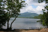 Mt. Chocorua, NH - with Birches